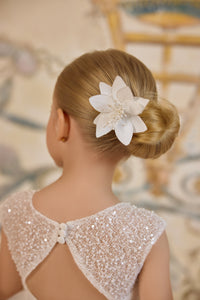 Accesorii 2026 - Model 139A