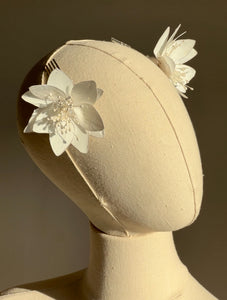 Accesorii 2026 - Model 139A